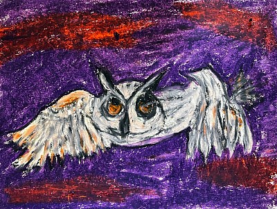 Nacht Uil