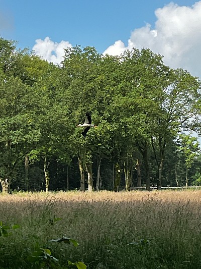Mooi weer