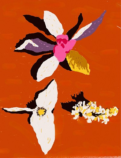 TuinBloeisel